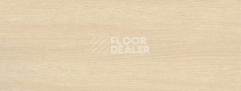 Плинтус Dollken EP 60/13 3484 фото 2 | FLOORDEALER
