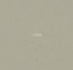 Forbo Marmoleum Decibel 372435 orbit фото 1 | FLOORDEALER