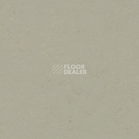 Линолеум Forbo Marmoleum Decibel 372435 orbit фото 1 | FLOORDEALER