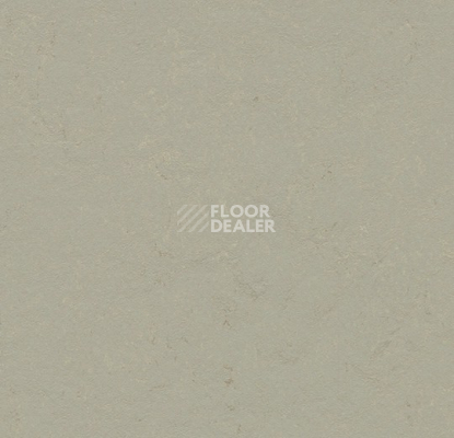 Линолеум Forbo Marmoleum Decibel 372435 orbit фото 1 | FLOORDEALER