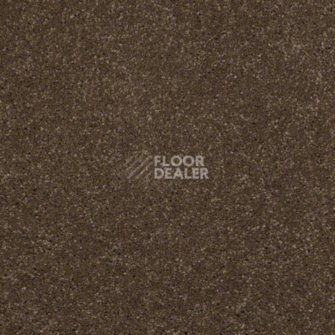 Ковролин Shaw Design Texture Platinum 760 фото 1 | FLOORDEALER