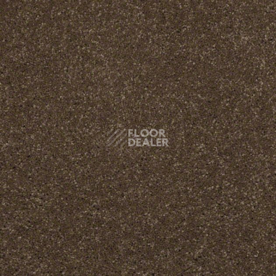 Ковролин Shaw Design Texture Platinum 760 фото 1 | FLOORDEALER