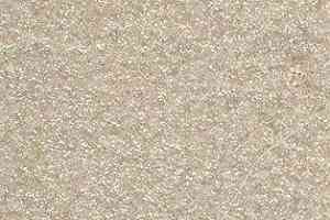 Ковролин AW Spirit 30 фото  | FLOORDEALER