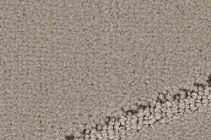 Ковролин Balsan Pavillon 710 фото  | FLOORDEALER