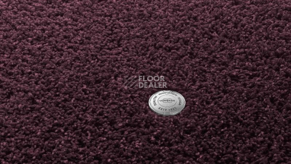 Ковролин Vorwerk Superior 1041 Vorwerk 3q54 фото 1 | FLOORDEALER