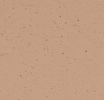 Линолеум Forbo Marmoleum Solid Cocoa 3592 salted caramel фото 1 | FLOORDEALER