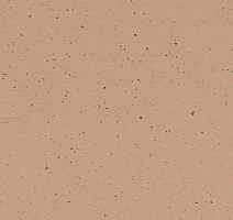 Линолеум Forbo Marmoleum Solid Cocoa 3592 salted caramel фото 1 | FLOORDEALER
