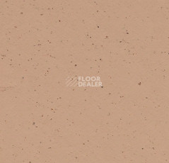 Линолеум Forbo Marmoleum Solid Cocoa 3592 salted caramel фото 1 | FLOORDEALER