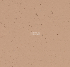 Forbo Marmoleum Solid Cocoa 3592 salted caramel фото 1 | FLOORDEALER