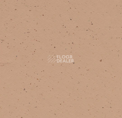 Линолеум Forbo Marmoleum Solid Cocoa 3592 salted caramel фото 1 | FLOORDEALER