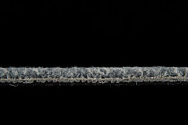 IVC Animate 545 фото 4 | FLOORDEALER