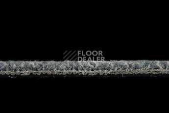 IVC Animate 545 фото 4 | FLOORDEALER