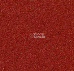 Линолеум Forbo Marmoleum Bulletin Board 2210 hot salsa фото 1 | FLOORDEALER