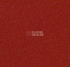 Линолеум Forbo Marmoleum Bulletin Board 2210 hot salsa фото 1 | FLOORDEALER