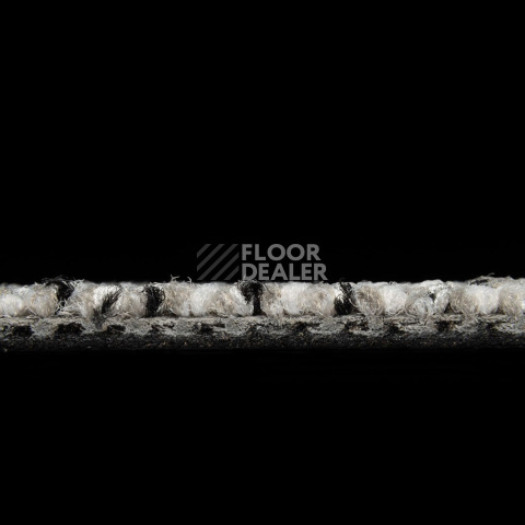 Balsan Take a Walk 710 Take a Walk фото 5 | FLOORDEALER
