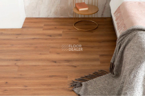 Vinilpol Glue 2мм 8833 EIR ДУБ САН-РЕМО фото 5 | FLOORDEALER