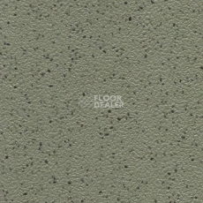 Линолеум Stop F 2.5 7038-05-228 фото 1 | FLOORDEALER