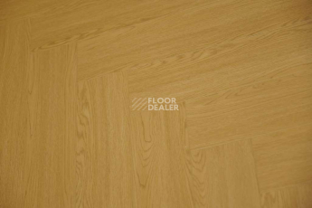Evofloor Parquet Click 4.5мм Manora (Манора) фото 4 | FLOORDEALER