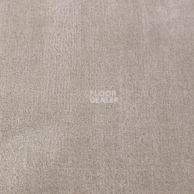 Ковролин Simla Grey фото 1 | FLOORDEALER