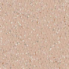 Линолеум Polyflor Polysafe Hydro Evolve 4254 фото 1 | FLOORDEALER