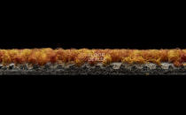 AW Maxima 85 фото 6 | FLOORDEALER