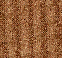 Ковровая плитка Tecsom Camera 00056 фото 1 | FLOORDEALER