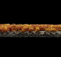 AW Maxima 85 фото 6 | FLOORDEALER