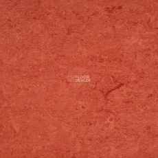 Marmorette Acoustic DLW 121-008 фото 1 | FLOORDEALER