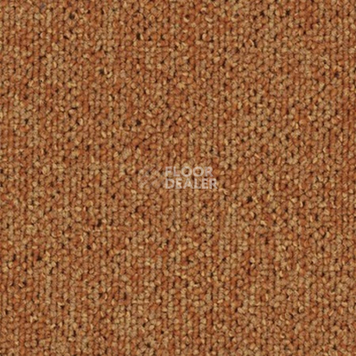 Ковровая плитка Tecsom Camera 00056 фото 1 | FLOORDEALER