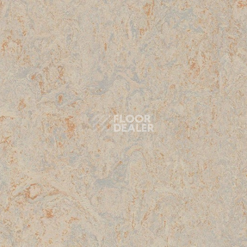 Линолеум Forbo Marmoleum Sport 83020 beige фото 1 | FLOORDEALER