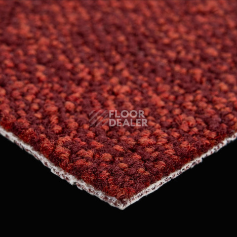 Haima Coral 36 фото 5 | FLOORDEALER
