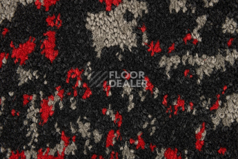 Innova Мираж q 492 05 фото 3 | FLOORDEALER