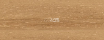 Плинтус Dollken EP 60/13 2360 фото 2 | FLOORDEALER