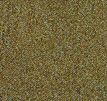 Ковровая плитка Desso Pallas 2022 фото 1 | FLOORDEALER