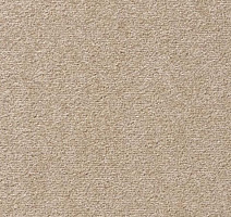 Ковролин Vorwerk Passion 1004 Vorwerk 8h99 фото 1 | FLOORDEALER