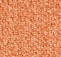 Ковролин Balsan Centaure Deco 448 фото 1 | FLOORDEALER