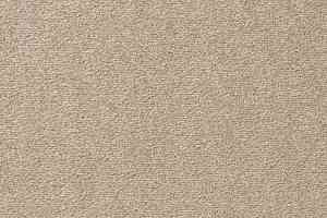 Ковролин Vorwerk Passion 1004 Vorwerk 8h99 фото  | FLOORDEALER