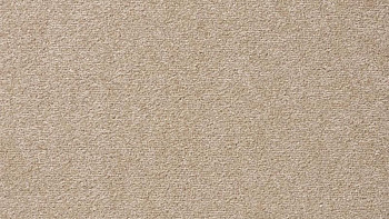 Ковролин Vorwerk Passion 1004 Vorwerk 8h99 фото 1 | FLOORDEALER