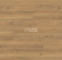 Ламинат Haro Tritty 200 Aqua Gran Via 4V Дуб Флавия Натур 544796 фото 1 | FLOORDEALER