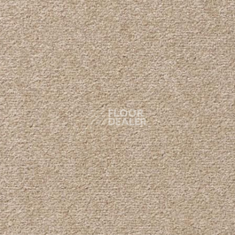 Ковролин Vorwerk Passion 1004 Vorwerk 8h99 фото 1 | FLOORDEALER