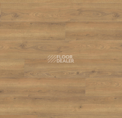 Ламинат Haro Tritty 200 Aqua Gran Via 4V Дуб Флавия Натур 544796 фото 1 | FLOORDEALER