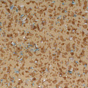 Линолеум Tarkett Acczent Mineral As 100011  | FLOORDEALER