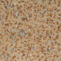 Линолеум Tarkett Acczent Mineral As 100011 фото 1 | FLOORDEALER