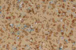 Линолеум Tarkett Acczent Mineral As 100011 фото  | FLOORDEALER