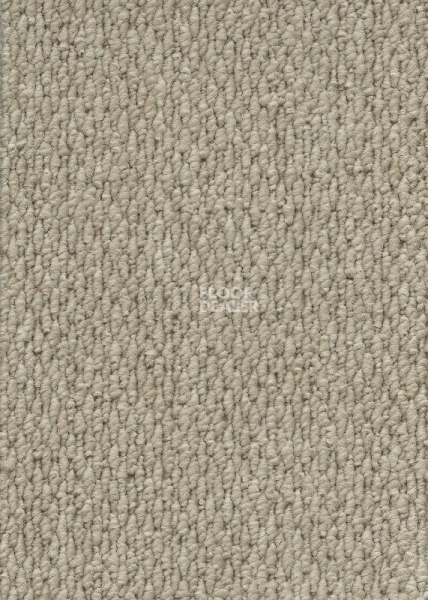 Ковролин AW Skye 53 фото 1 | FLOORDEALER