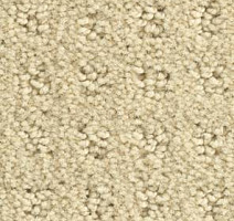 Ковролин Balsan Patio Patio 610 фото 1 | FLOORDEALER