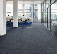 Forbo Forte 96001 Silver фото 4 | FLOORDEALER
