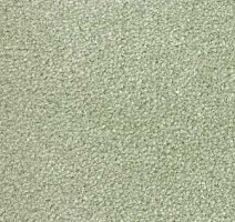 Ковролин Radici Montecarlo 72 фото 1 | FLOORDEALER