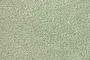 Ковролин Radici Montecarlo 72 фото  | FLOORDEALER