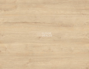 Ламинат Kronotex Exquisit Plus d40402 Дуб Бодега Бежевый фото 1 | FLOORDEALER